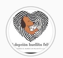 Moda Adopcion huellita feliz