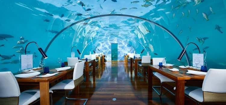 Restaurantes Almoço no fundo do mar🦈🐠🐟🌊🧜🏻‍♀️