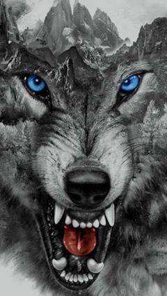 Social Cara!pirei nessa!!!🌈