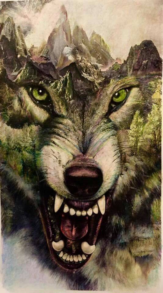 Social Fantástica🌈