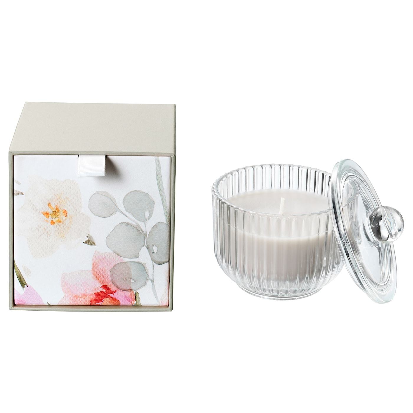 Moda BLOMDOFT Vela aromática en vaso - Gladiolo, gris - IKEA