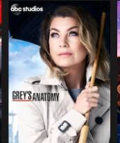 Serie Greys Anatomys 