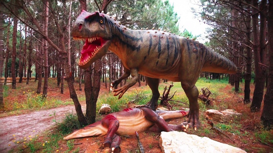 Lugar Dino Parque Lourinhã