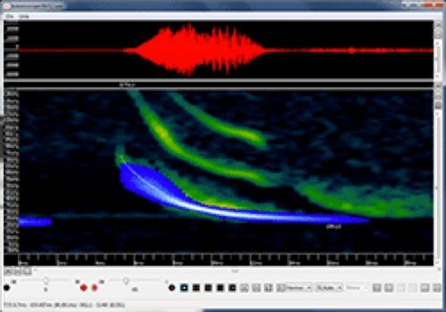 Moda Kaleidoscope Pro Analysis Software | Wildlife Acoustics