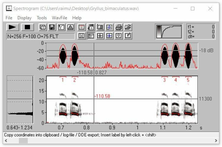 Fashion Avisoft Bioacoustics