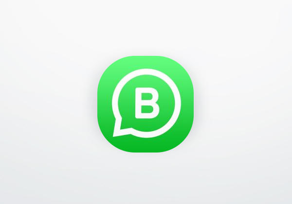 Aplicación WhatsApp Business
