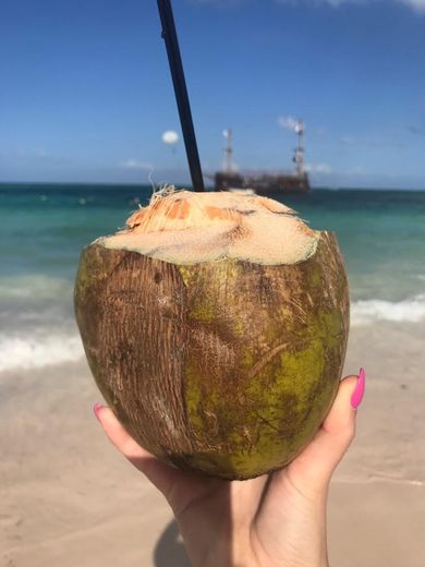 Água de coco 🥥 