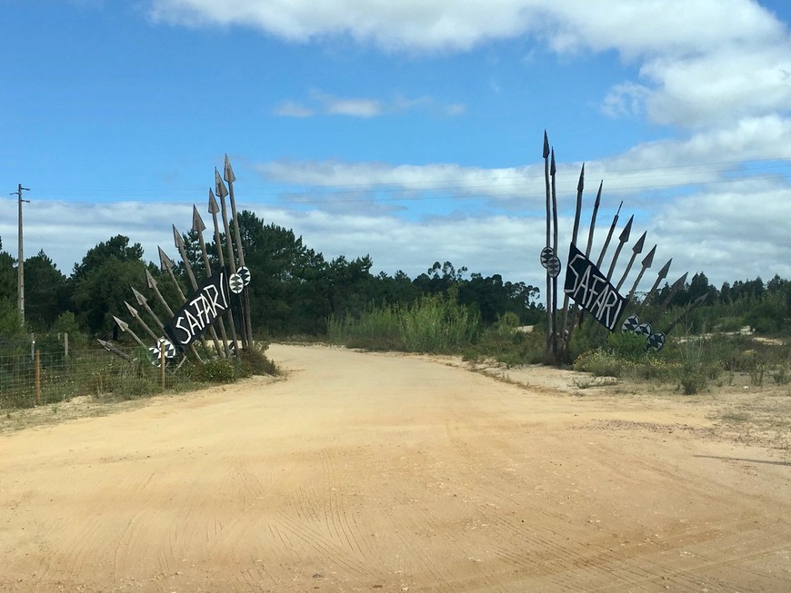 Lugar Badoca Safari Park