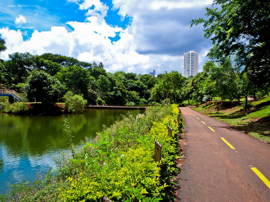 Place Parque dos pássaros