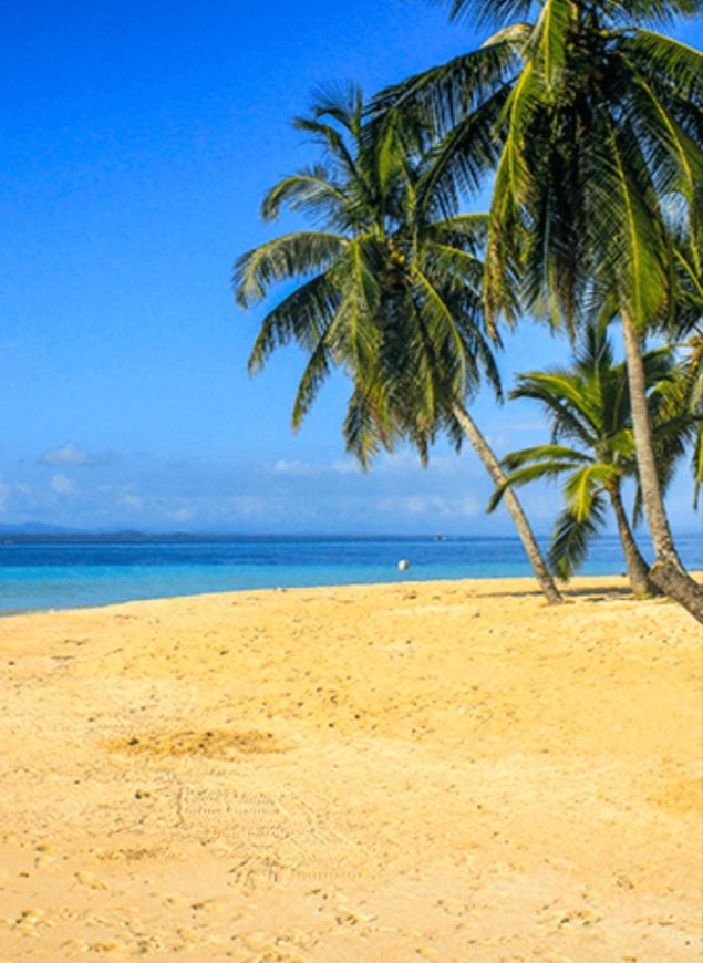 Moda Paraíso pra curtir com os amigos e tomar uma água de🥥🥥