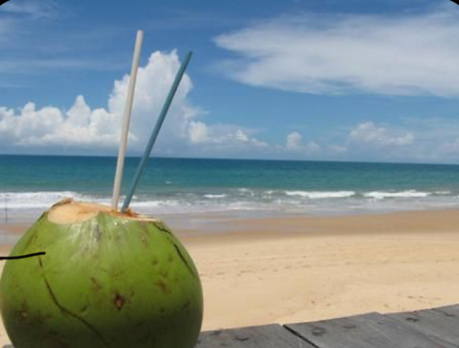 Moda Quem também ama aquela água de 🥥🥥🥥