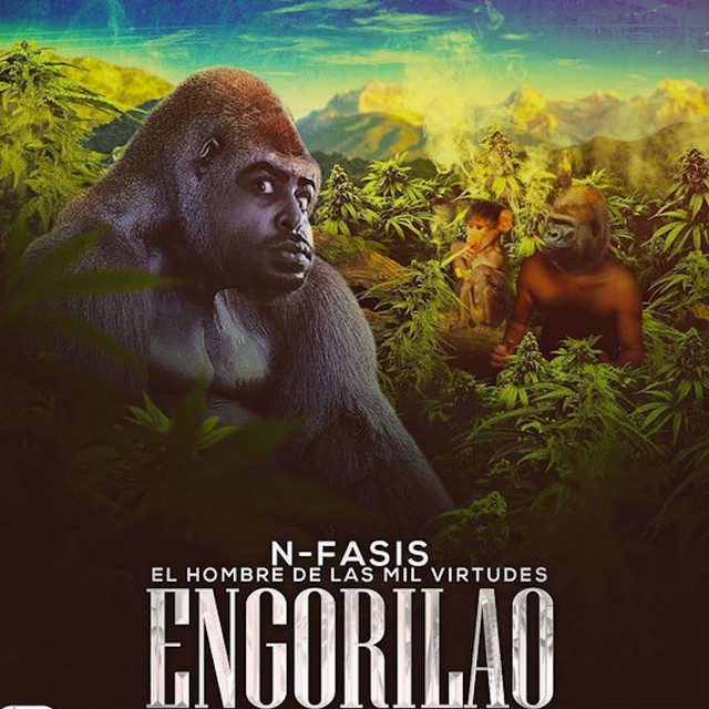 Music Engorilao