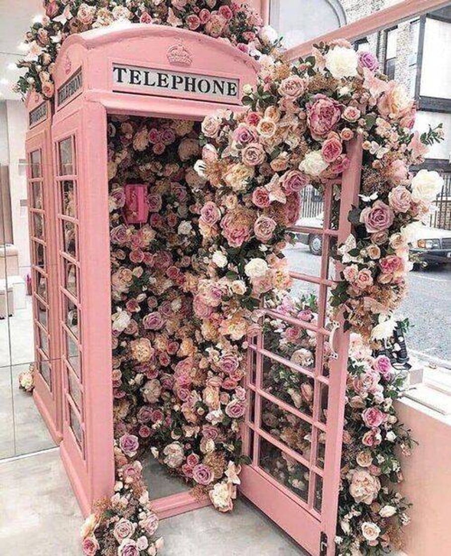Social Telephone&flowers🌸