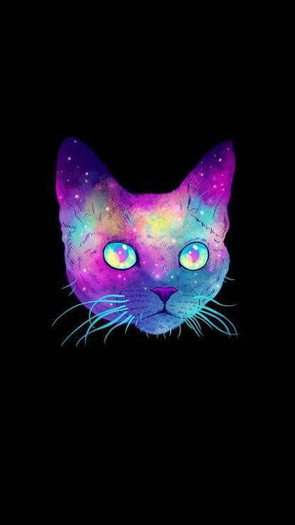 Social Gatinho + galáxia 🐱