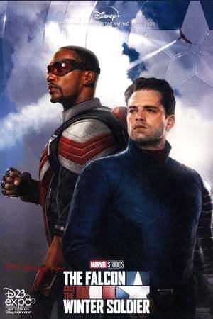 The Falcon and the Winter Soldier