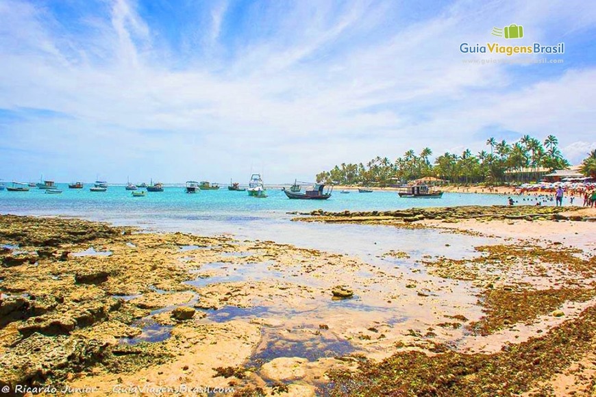 Place Praia do Forte