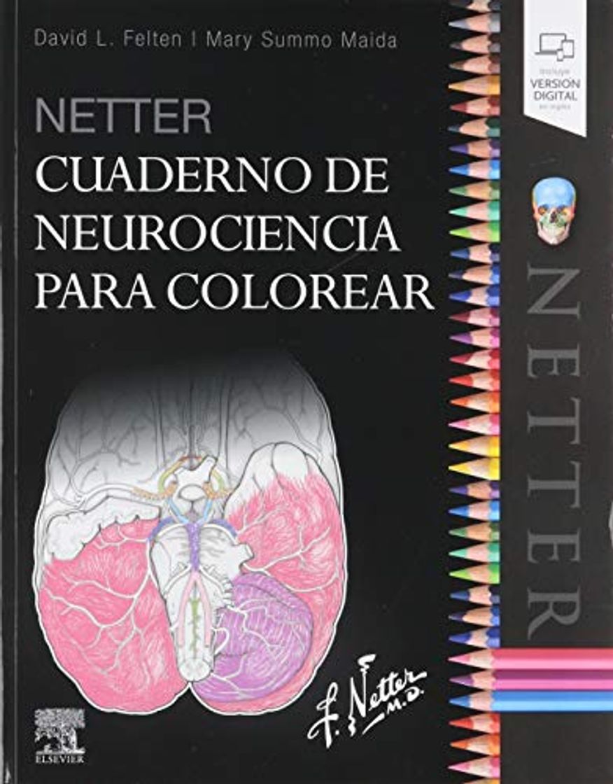 Libro Netter. Cuaderno De Neurociencia Para Colorear