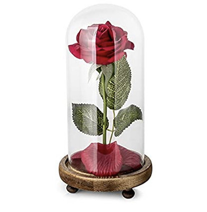 Social Red Rose Beauty and the Beast 