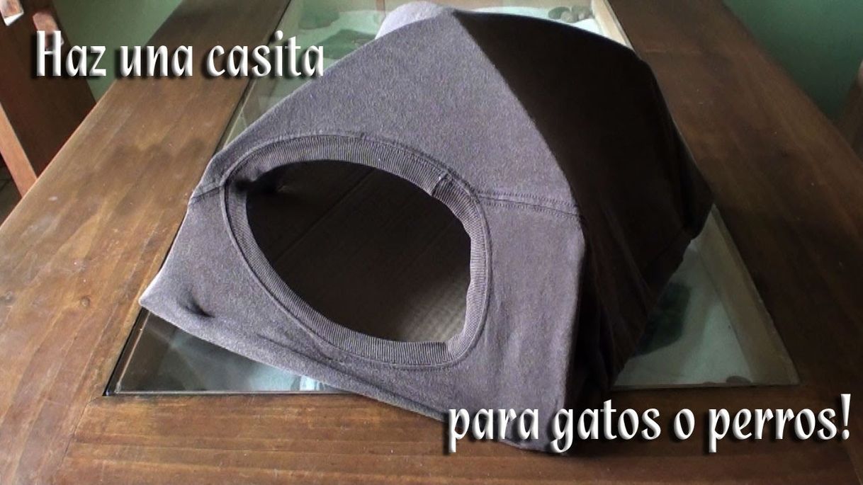 Moda Escondite para gato