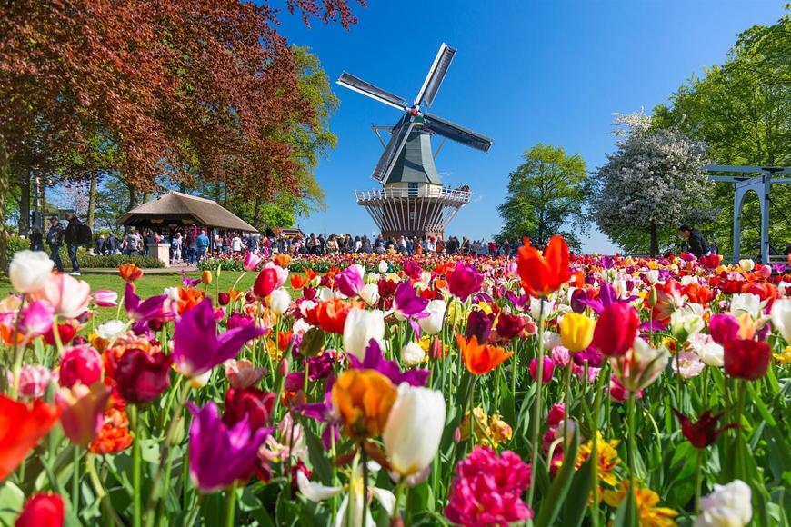 Lugar Keukenhof