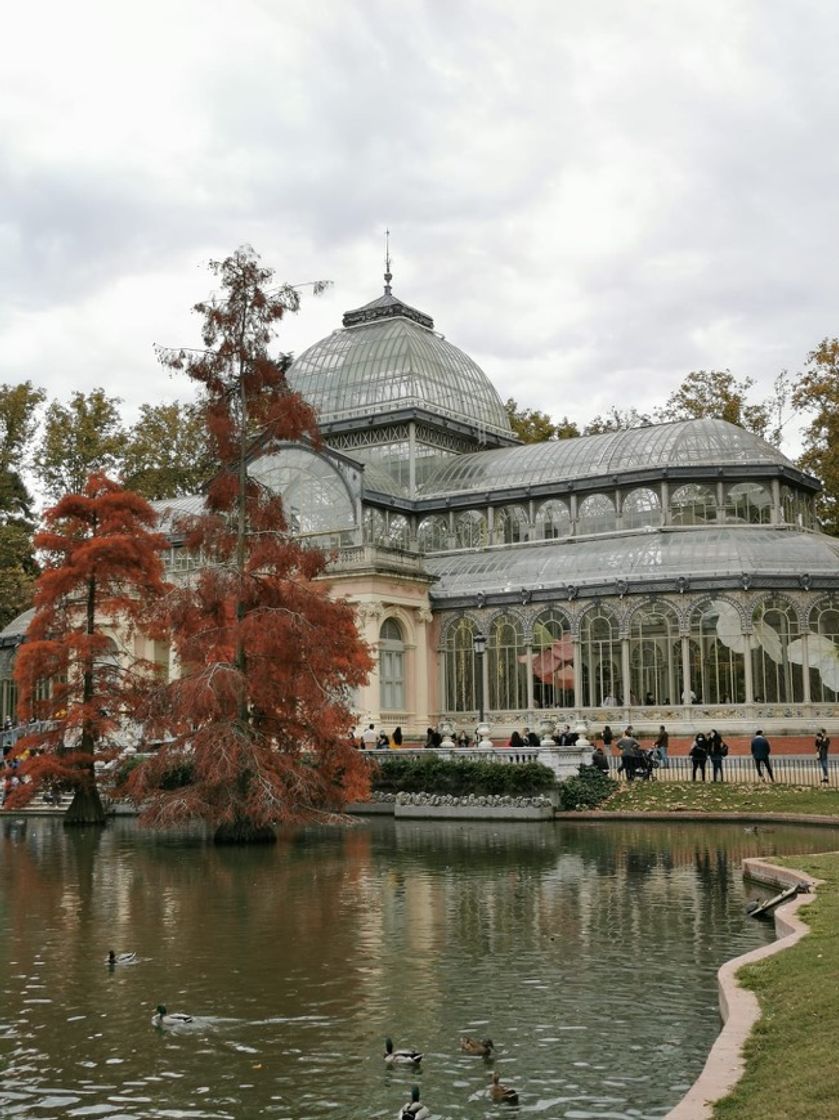 Fashion RETIRO Y PALACIO DE CRISTAL