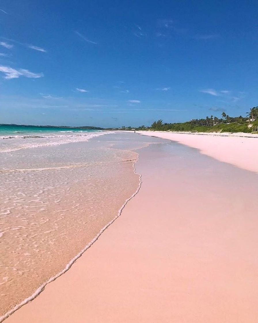 Lugares Pink Sands Beach, Bahamas