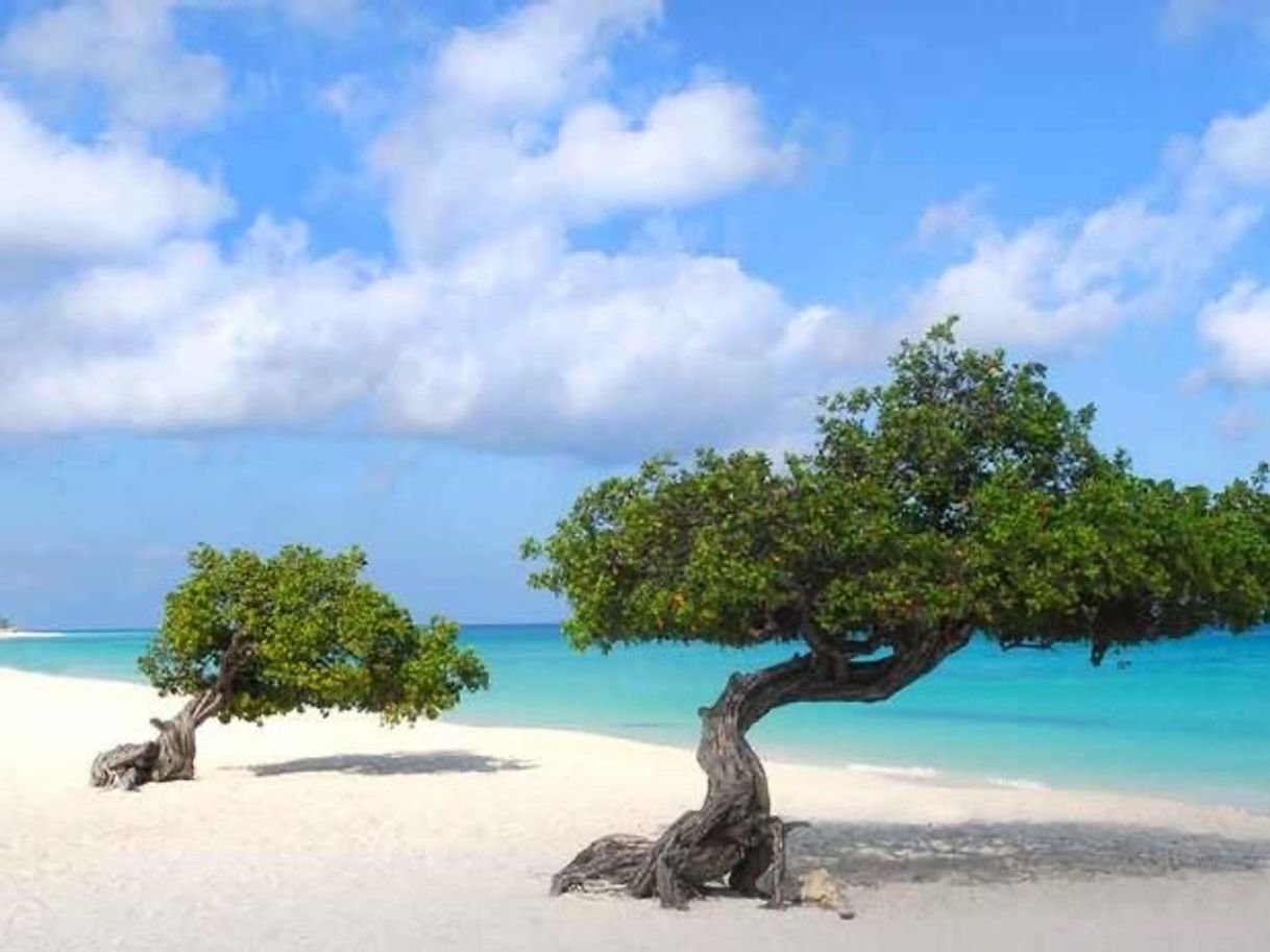 Lugares Eagle Beach, Aruba