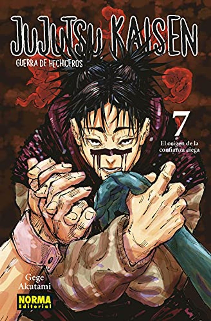 Libro Jujutsu Kaisen 7