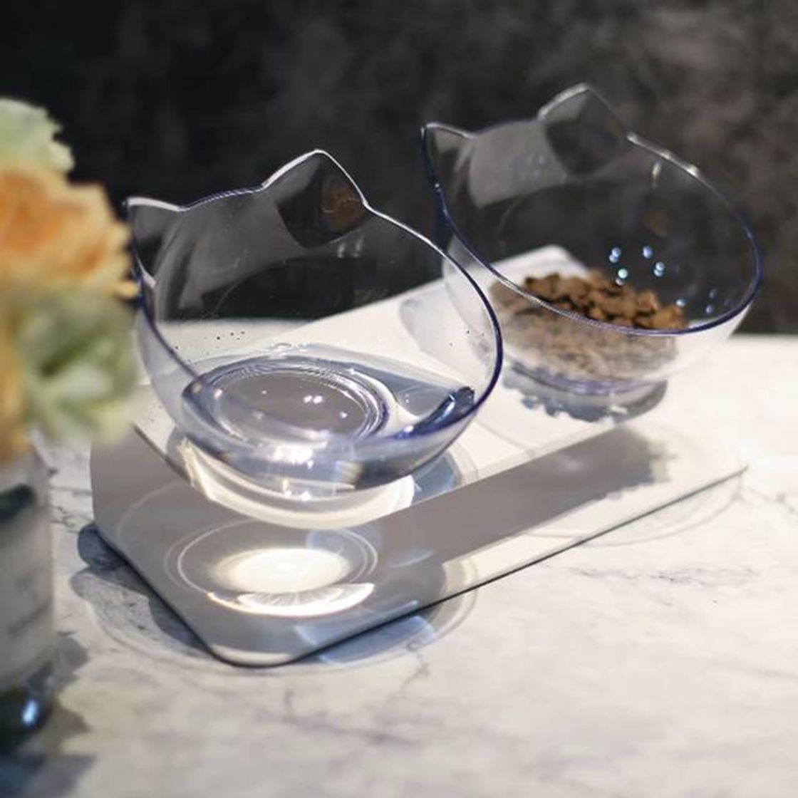 Social O melhor para o seu bichano