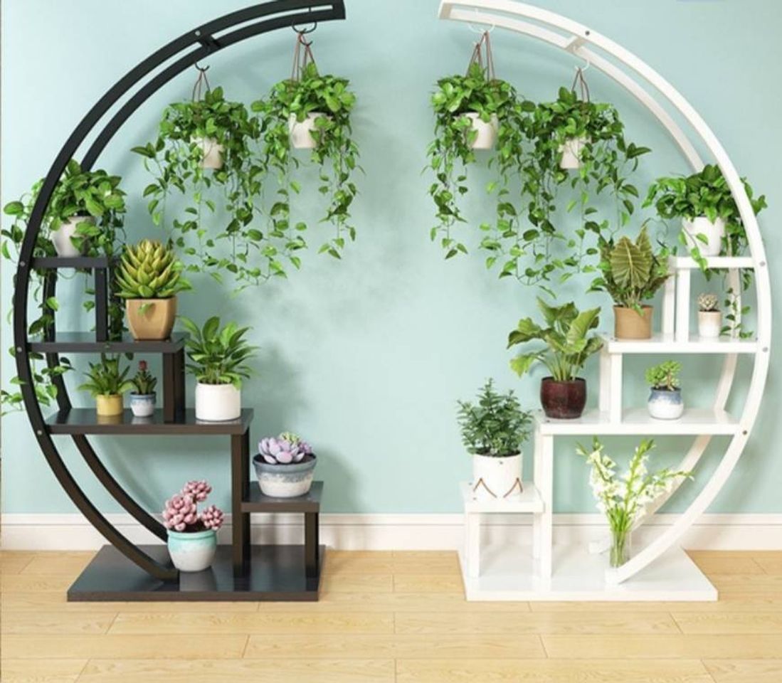 Social Suporte de plantas meia lua