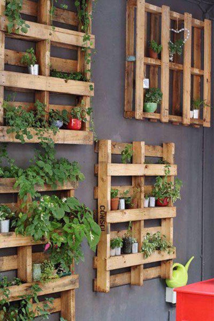 Social Jardim vertical