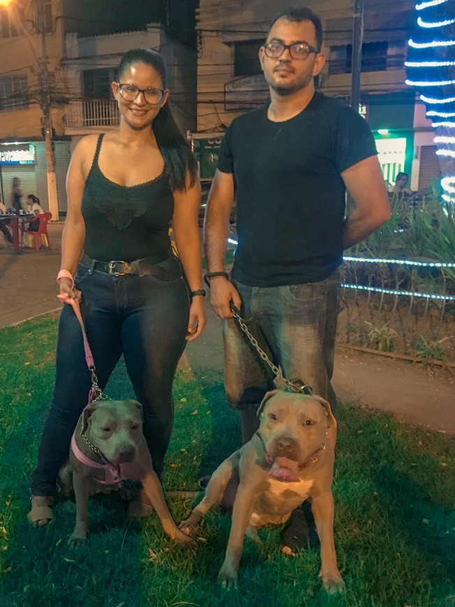 Fashion Criação e Canil de Pitbull 🐶❤️