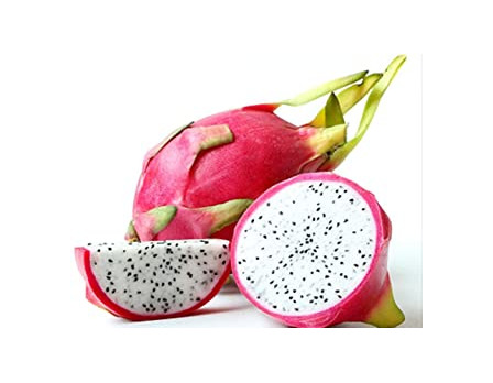 Producto Ncient 10 Semillas de la Fruta de Dragón Semillas de Frutas Huerto