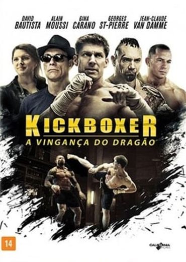 Kickboxer: Vengeance