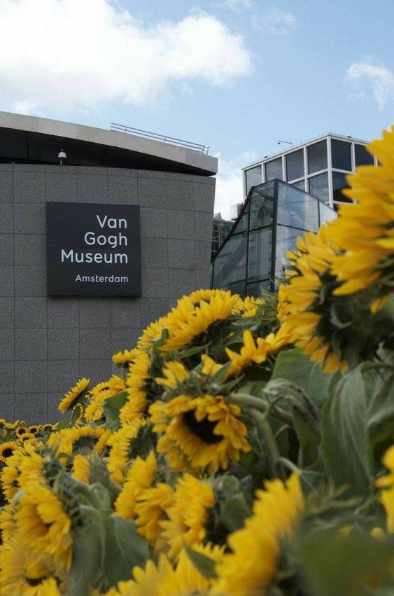 Place Van Gogh Museum