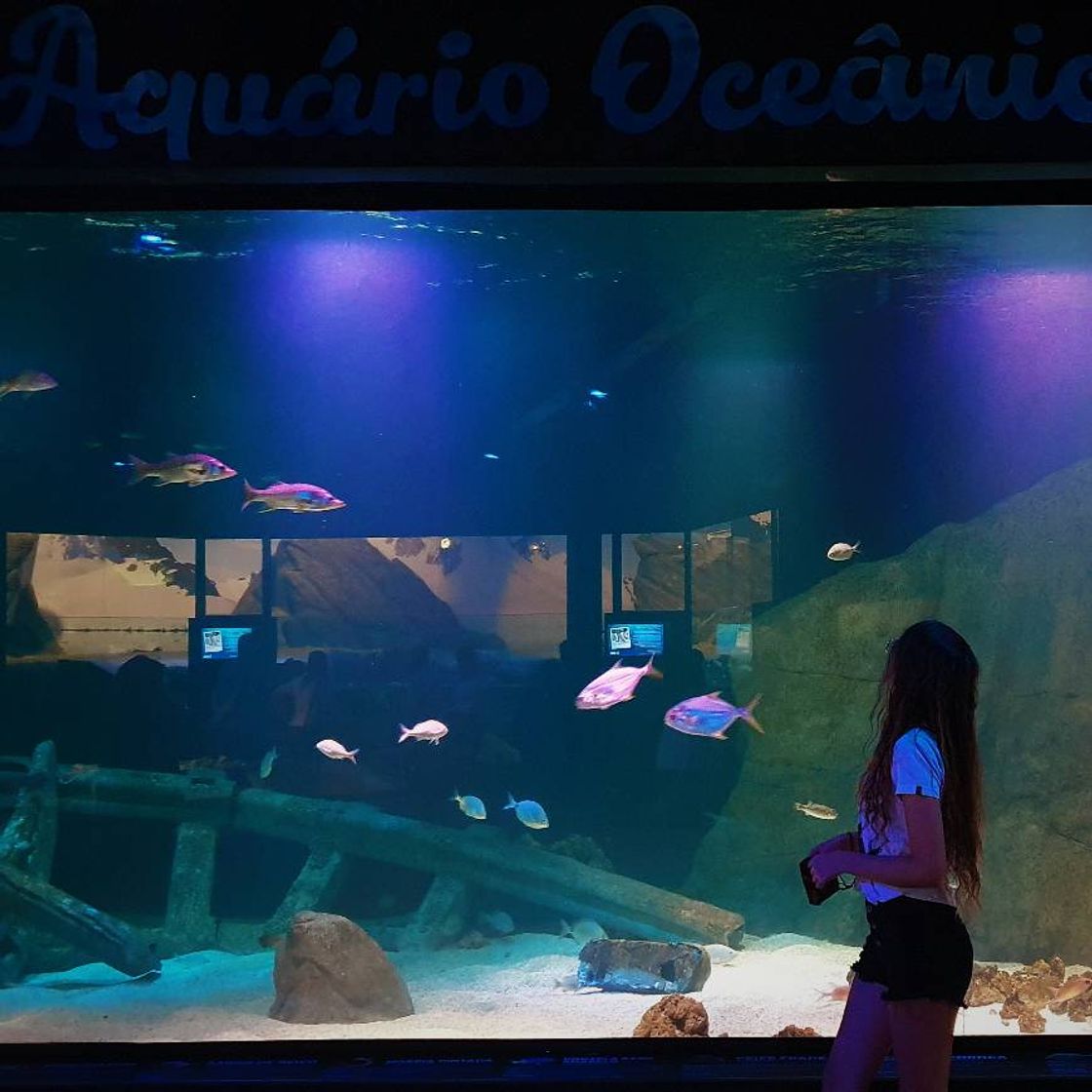 Place Oceanic Aquarium