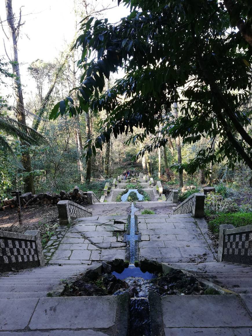 Lugar Serra do Buçaco