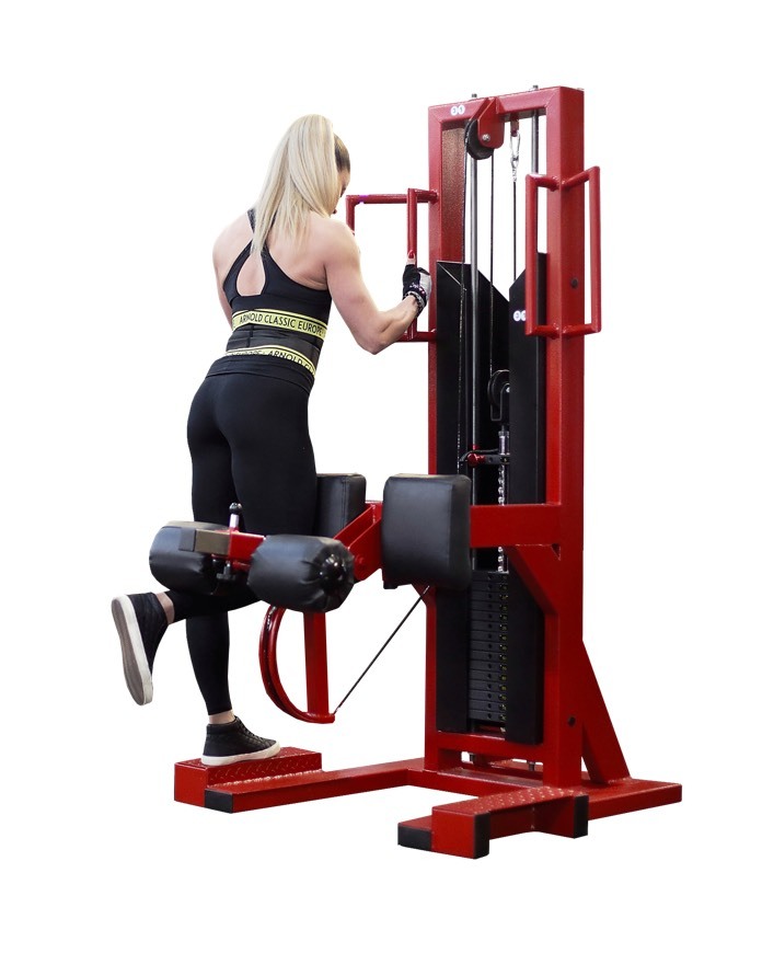 Standing Leg Curl