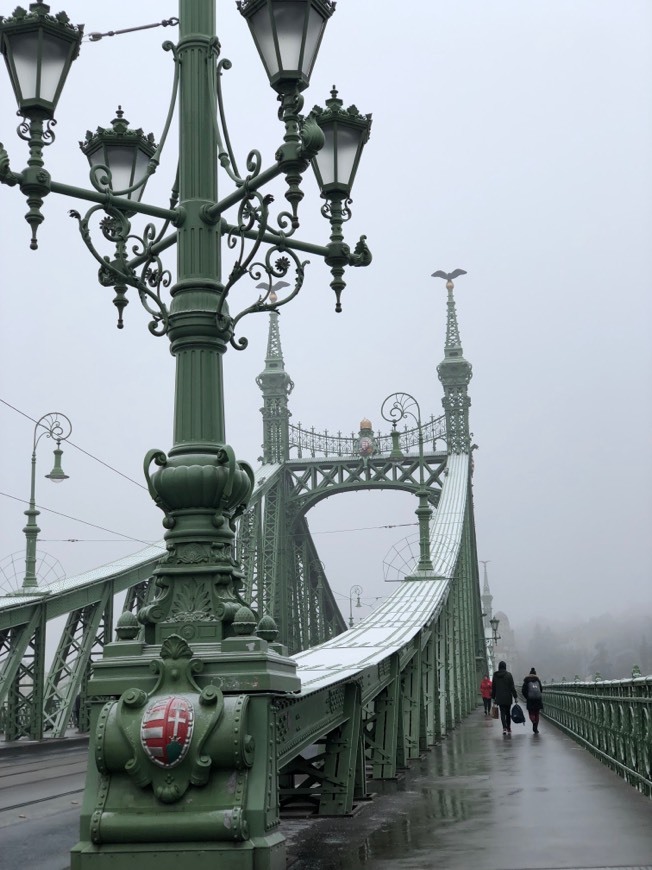 Lugar Puente de la Libertad