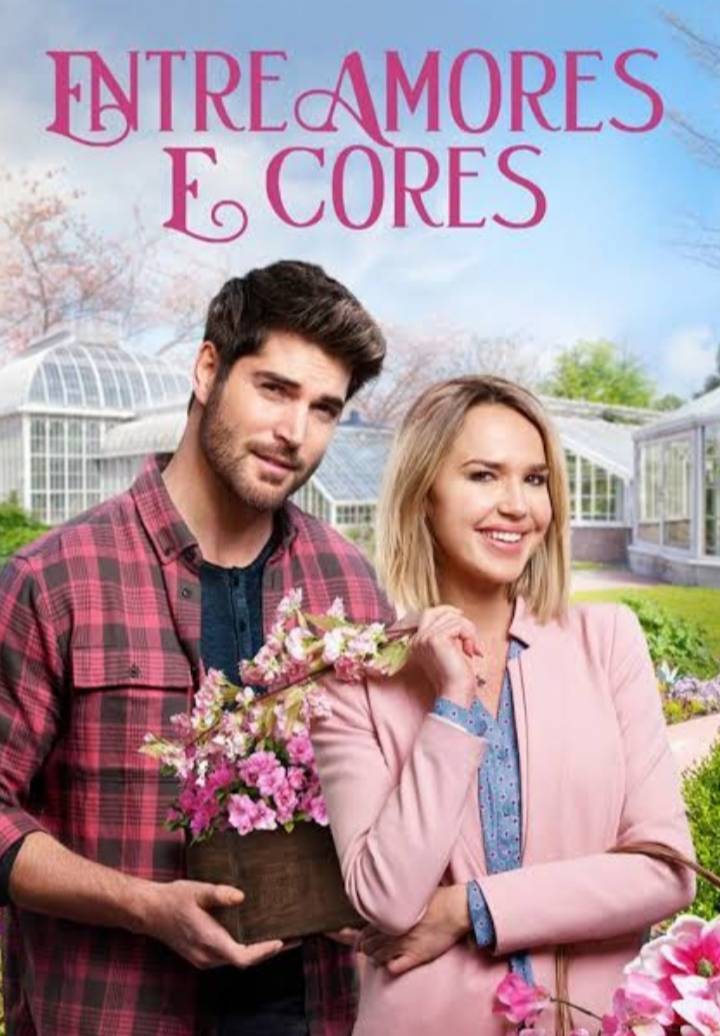 Películas Um romance sempre cai bem ❤️📺