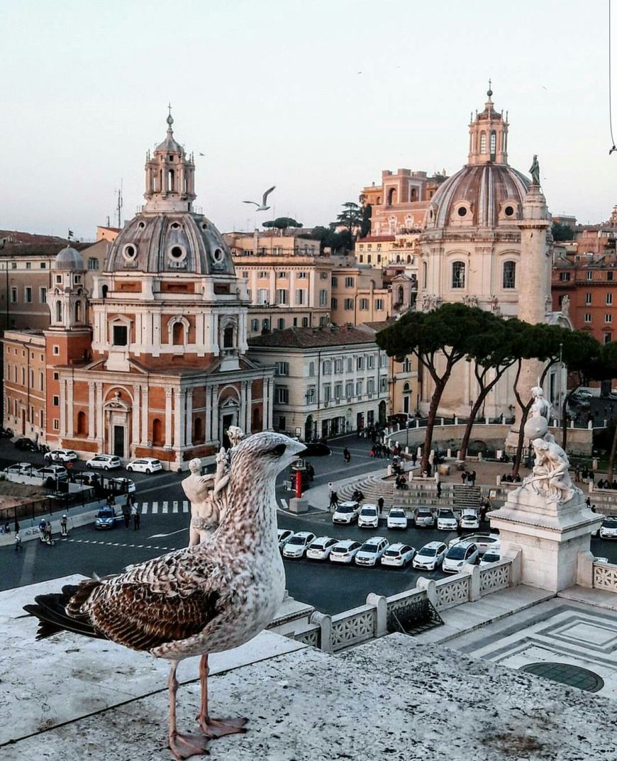 Place Plaza Venezia