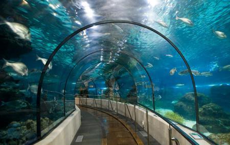 Lugar Aquarium de Barcelona