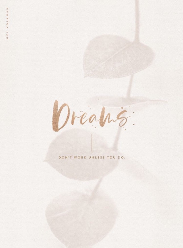 Social Dreams 