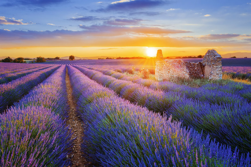 Place Provence