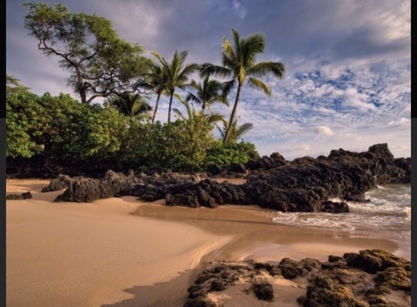 Place Maui