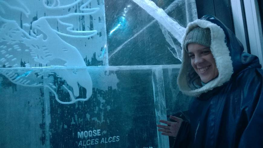 Place ICEBAR by ICEHOTEL Stockholm