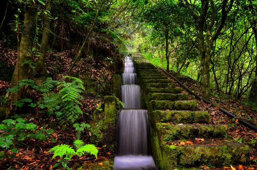 Levada do Ribeiro da Cal