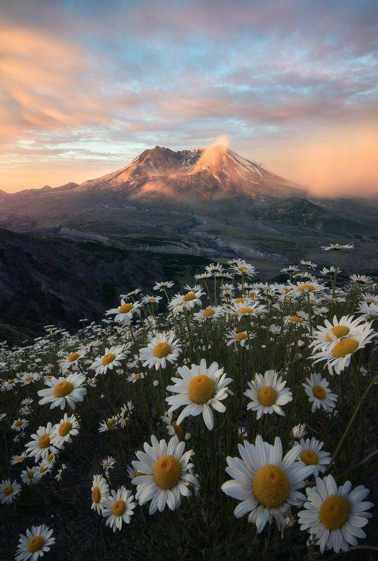 Natureza
