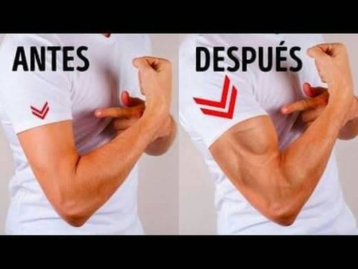 6 ejercicios simples para obtener brazos más grandes sin ir al ...