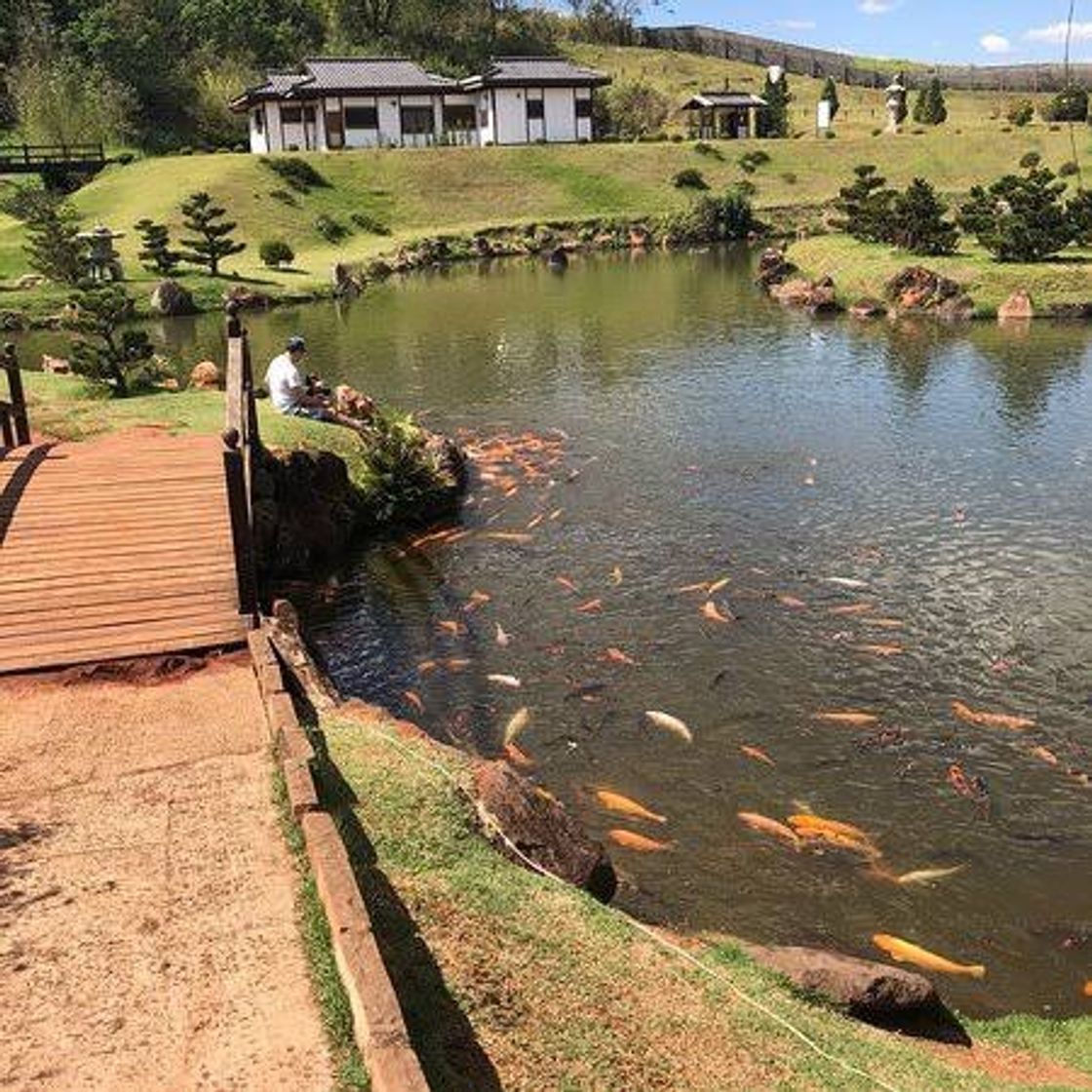 Lugar Parque Do Japão Maringá PR